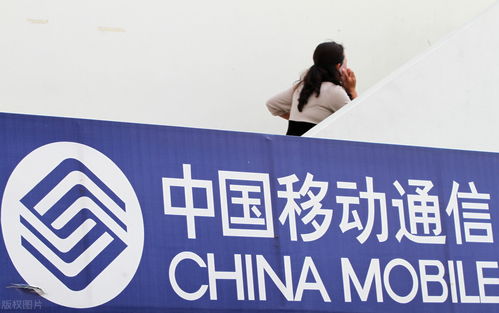 2022年 中國(guó)移動(dòng)及員工在信息咨詢服務(wù)領(lǐng)域的機(jī)遇與展望